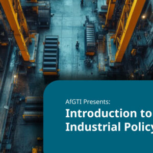 Introduction to Industrial Policy